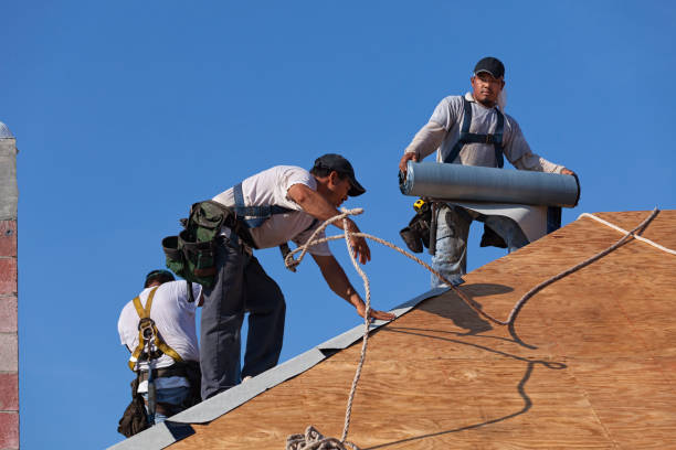 Quick and Trustworthy Emergency Roof Repair Services in Cold Springs, NV